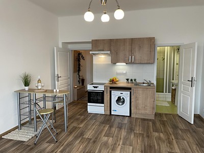 Pronájem bytu 1+kk 32 m²