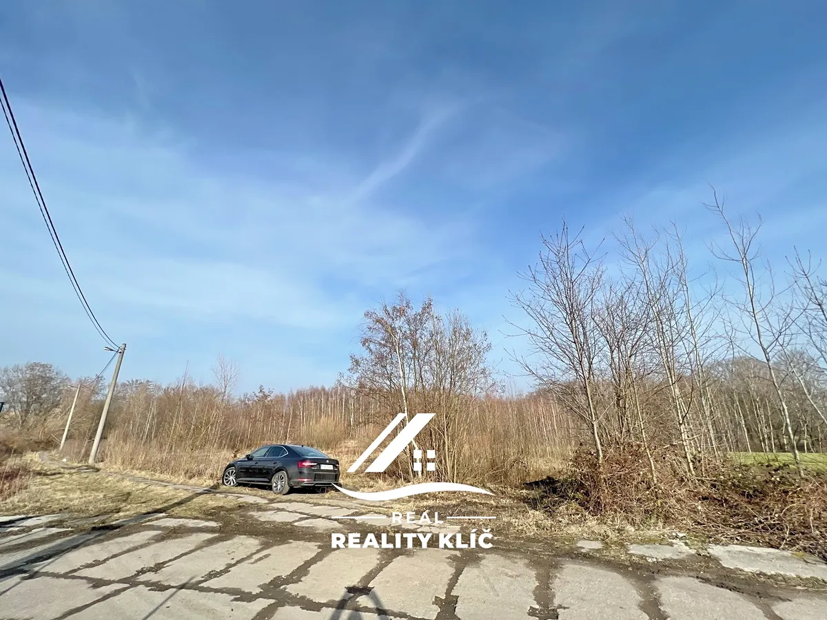 Fotka 5 z 21