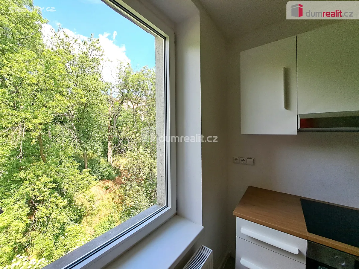 Pronájem bytu 1+1 40 m² – pohled 4