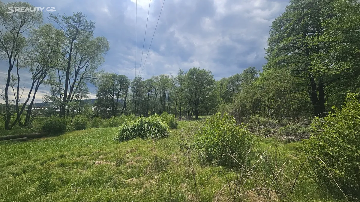 Prodej pozemku 9589 m² - Więcej