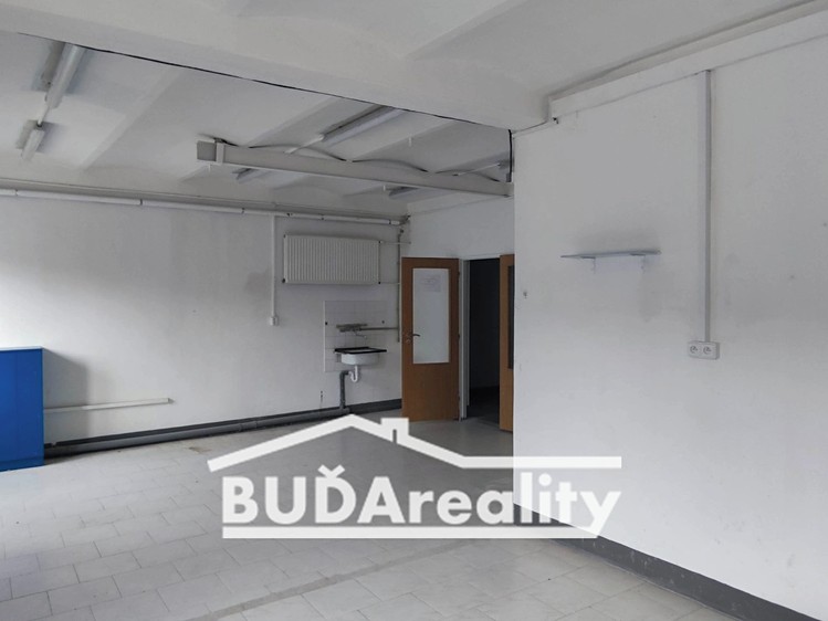 Pronájem komerčního prostoru, 129 m² (3 z 7)
