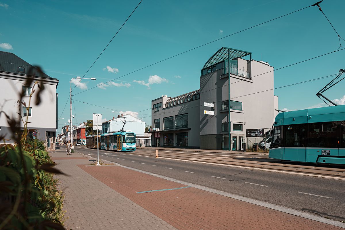 Pronájem kanceláře 161 m² – fotografie 4