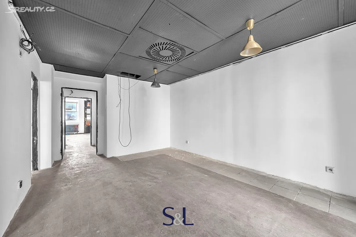 Prodej obchodního prostoru 222 m² – pohled 4