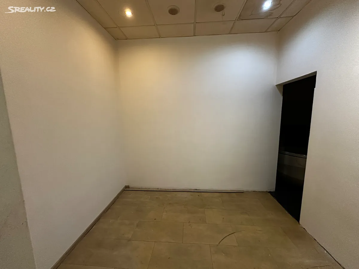 Prodej obchodního prostoru 133 m² – pohled 5