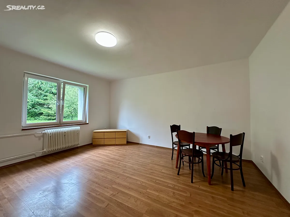 Pronájem bytu 2+kk 41 m² - Widok 2