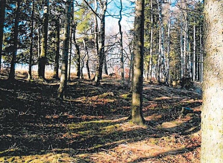 Grundstück zum Kauf, 900 m² (1 von 4)