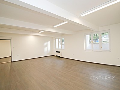 Комерційне приміщення в оренду, 146 м² (2 з 36)