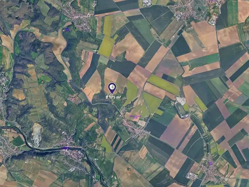 Prodej sadu, vinice 8175 m², Mělčany – náhled fotky 2