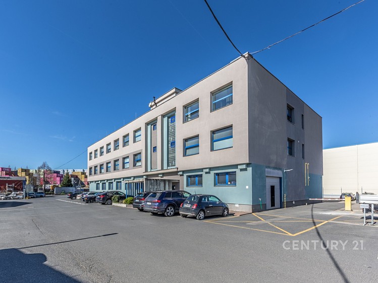 Pronájem komerčního prostoru, 152 m² (3 z 13)