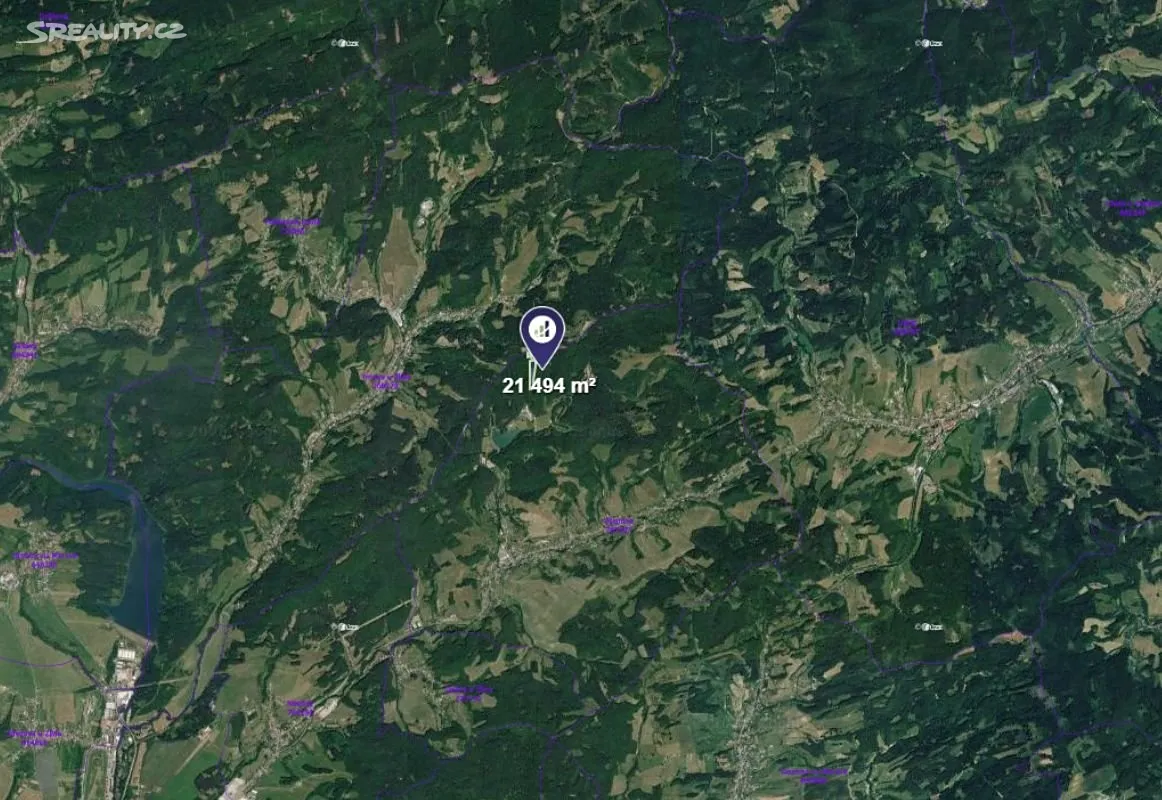 Prodej lesa 21494 m², Všemina • Sreality.cz