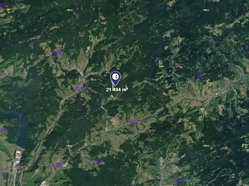 Prodej lesa 21494 m², Všemina – náhled fotky 2