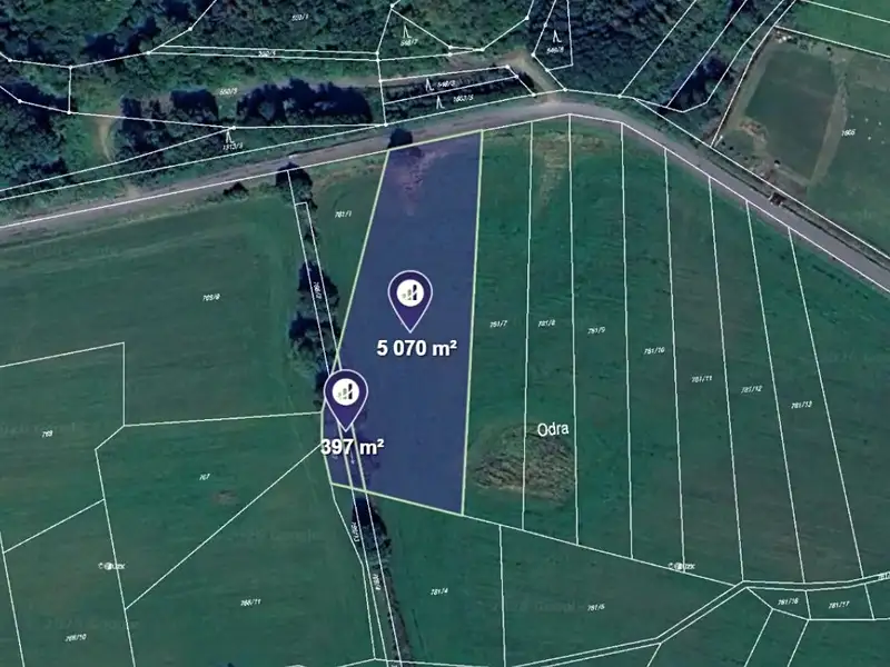 Prodej pole 5467 m², Vranová Lhota – náhled fotky 1