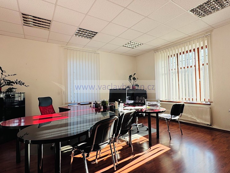 Haus zum Kauf, 650 m² (8 von 21)