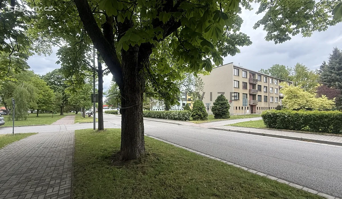 Prodej bytu 2+1 40 m², Revoluční