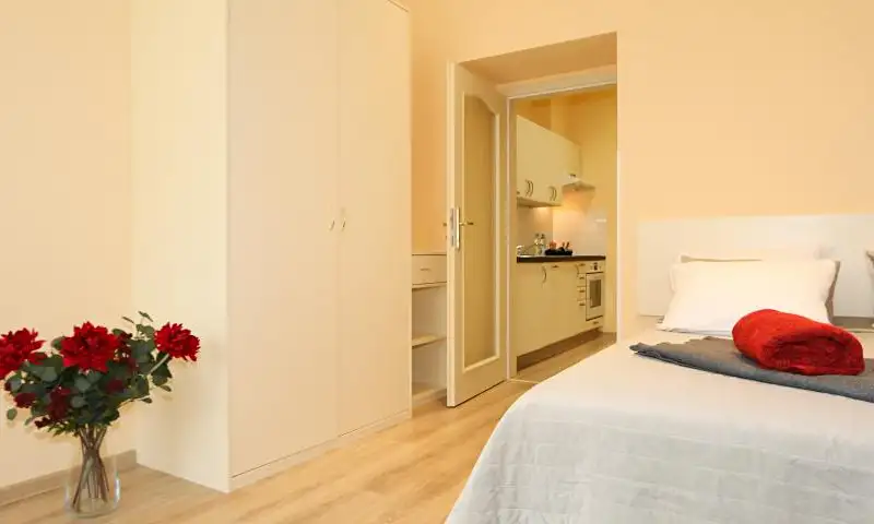 Pronájem bytu 1+1 40 m², Praha – náhled fotky 3