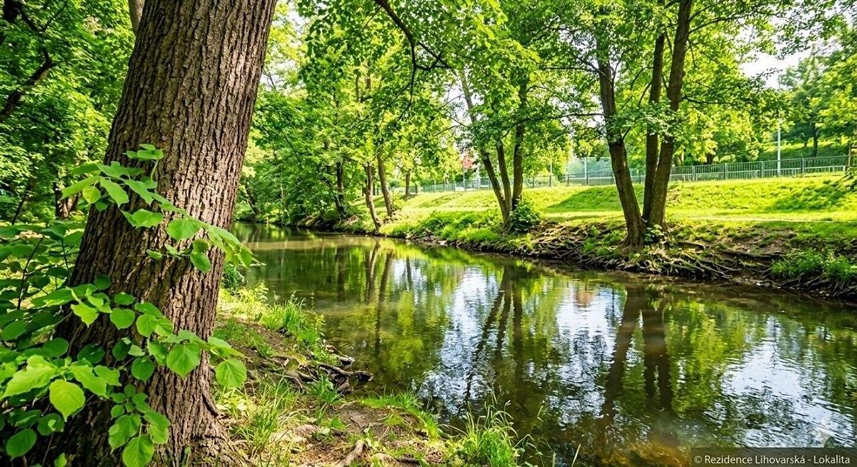 Pronájem bytu 1+kk 26 m² – fotografie 5