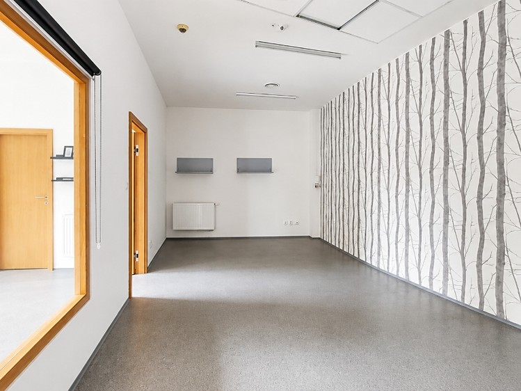 Gewerbefläche zur Miete, 161 m² (7 von 21)