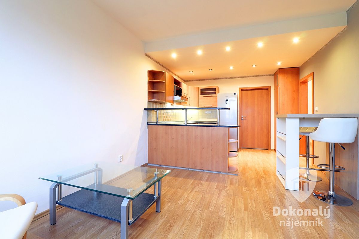 Pronájem bytu 3+kk 56 m²