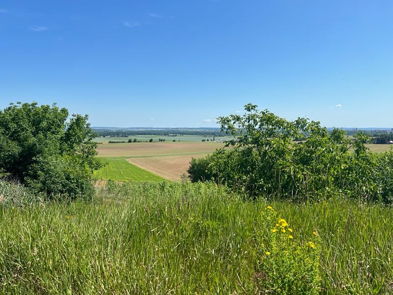 Prodej stavebního pozemku 980 m², Křečhoř – fotka 1 z 3