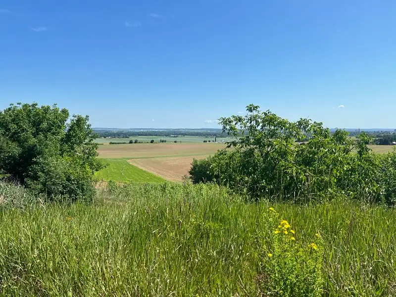 Prodej stavebního pozemku 980 m², Křečhoř – náhled fotky 1