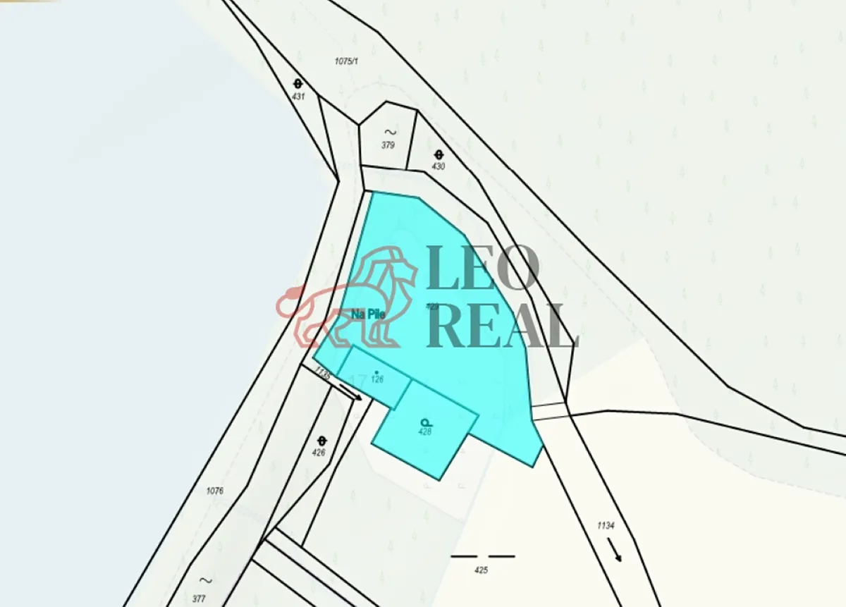 Fotka 18 z 27