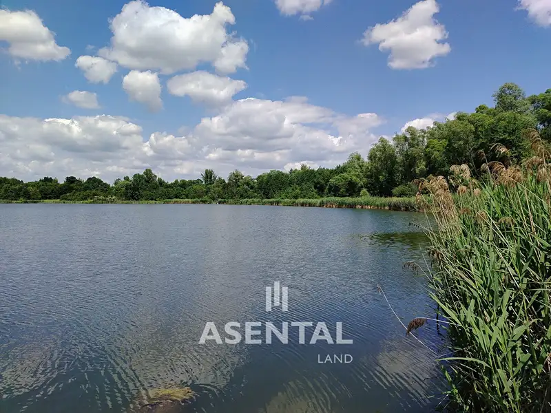 Prodej rybníku (vodní plochy) 285924 m², Karviná – náhled fotky 2