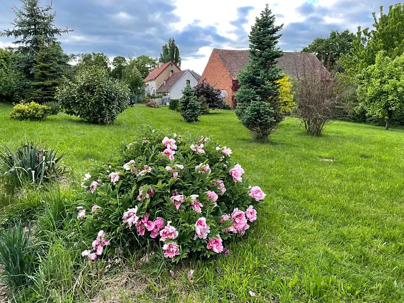 Prodej zahrady 1634 m², Trpísty – náhled fotky 1