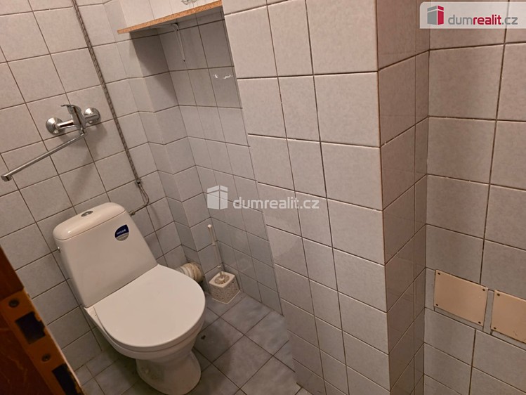 Pronájem komerčního prostoru, 250 m² (9 z 11)