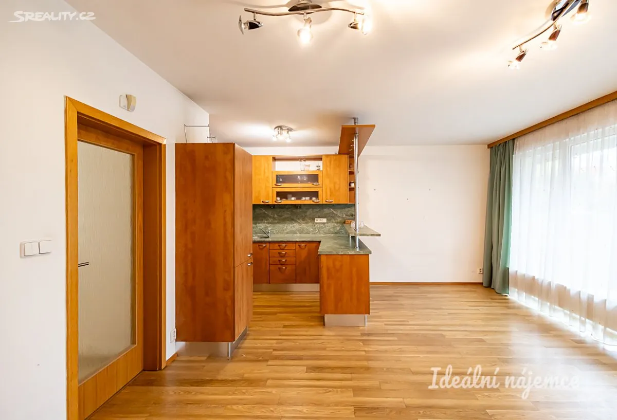 Pronájem bytu 1+kk 44 m² – pohled 6