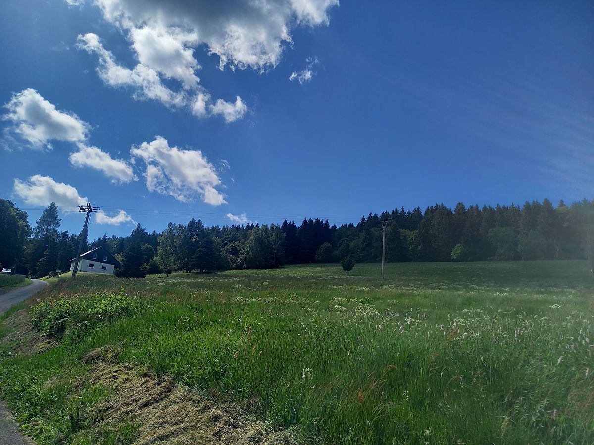 Prodej stavebního pozemku 1596 m² – fotografie 3