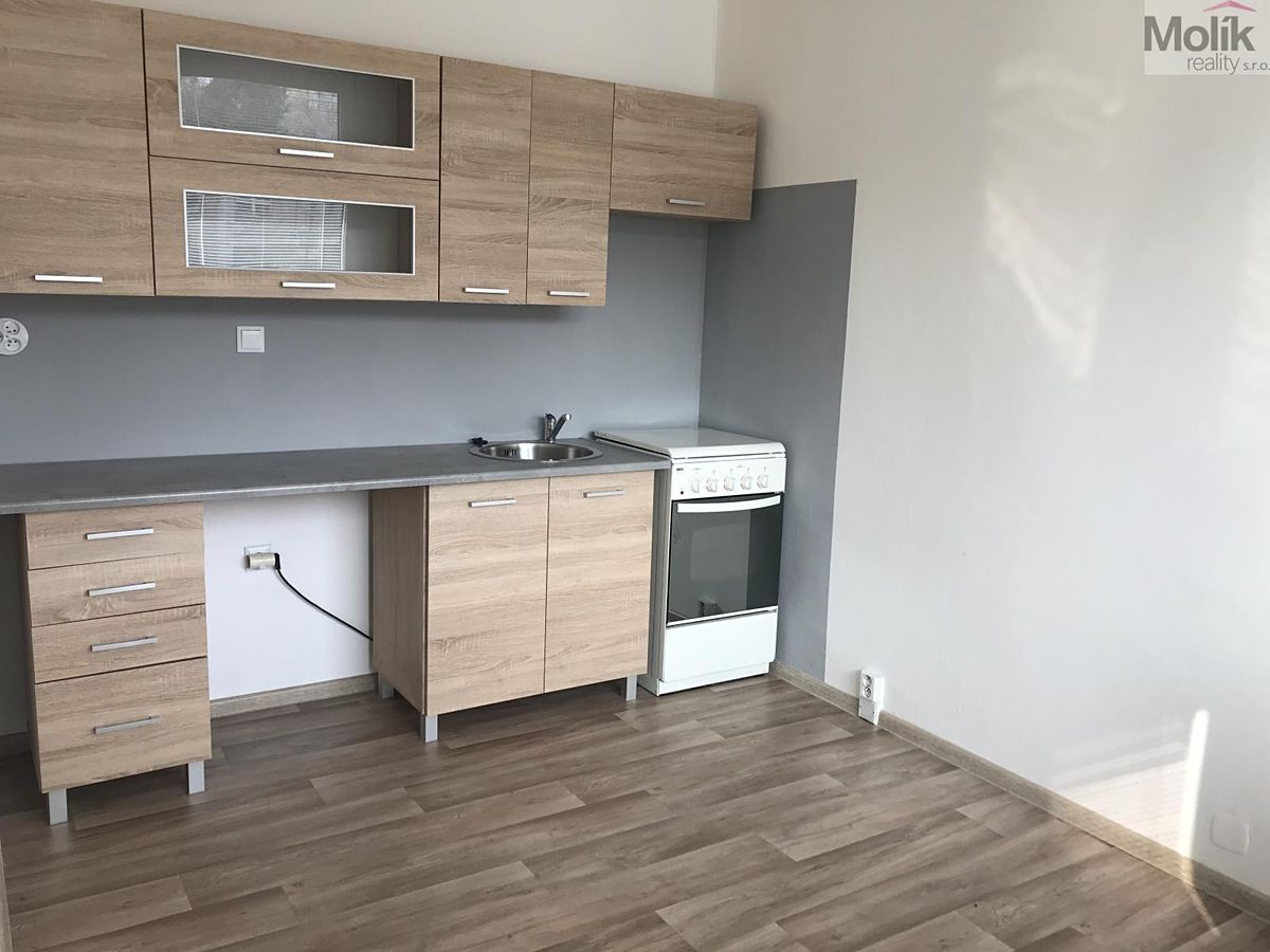 Pronájem bytu 3+1 55 m²