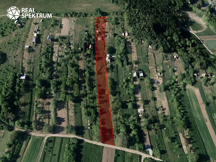 Ostatní