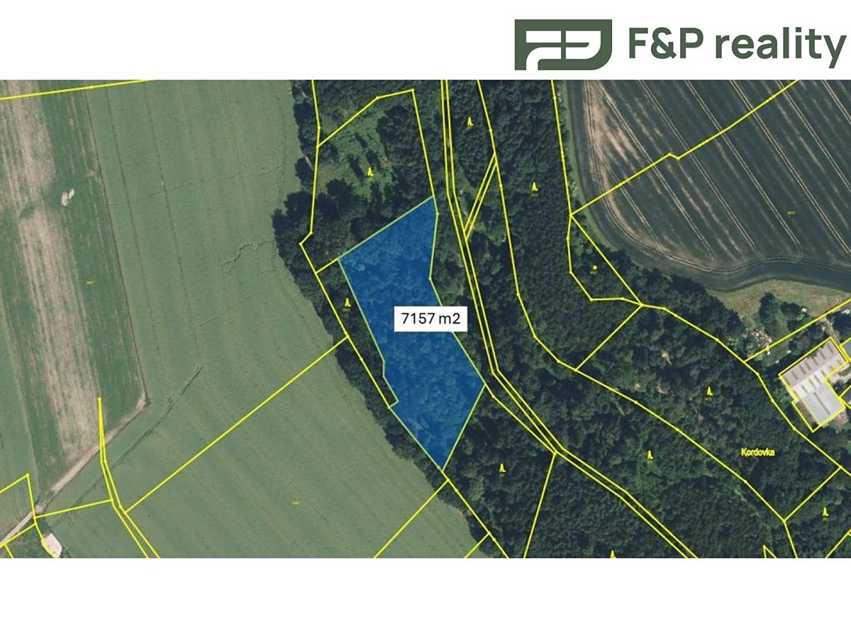 Prodej lesa 8286 m²