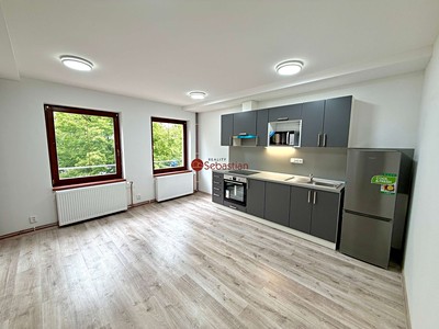 Pronájem bytu 1+kk 60 m²