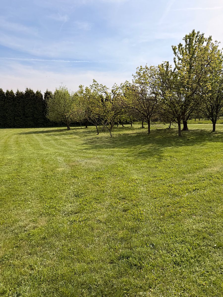 Prodej stavebního pozemku 1245 m² – fotografie 3