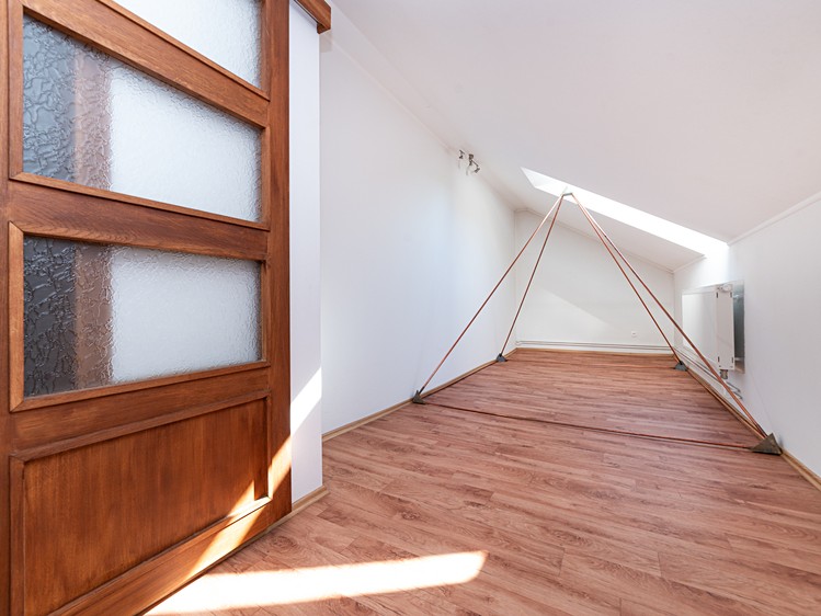 Prodej domu, 450 m² (10 z 27)