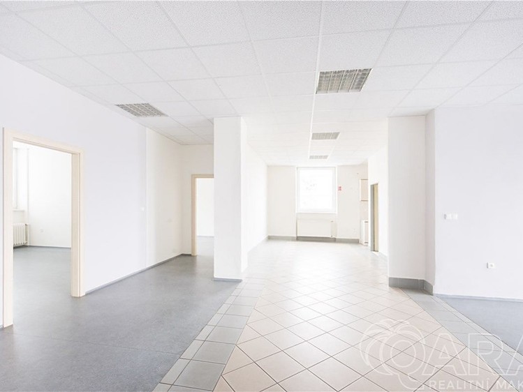 Комерційне приміщення в оренду, 549 м² (16 з 30)