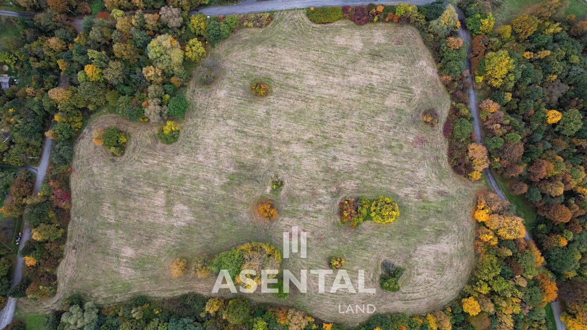 Prodej stavebního pozemku 43470 m² – fotografie 2