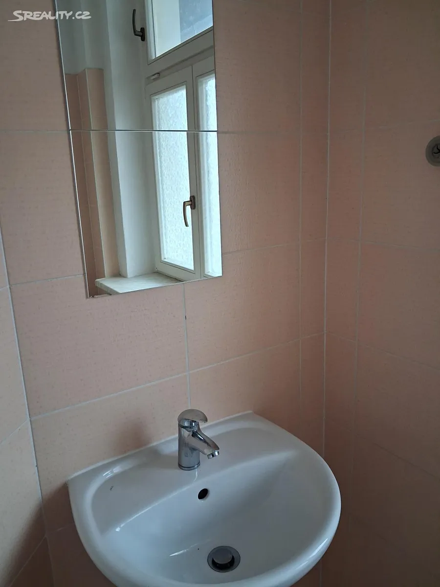 Pronájem bytu 1+1 35 m² – pohled 4