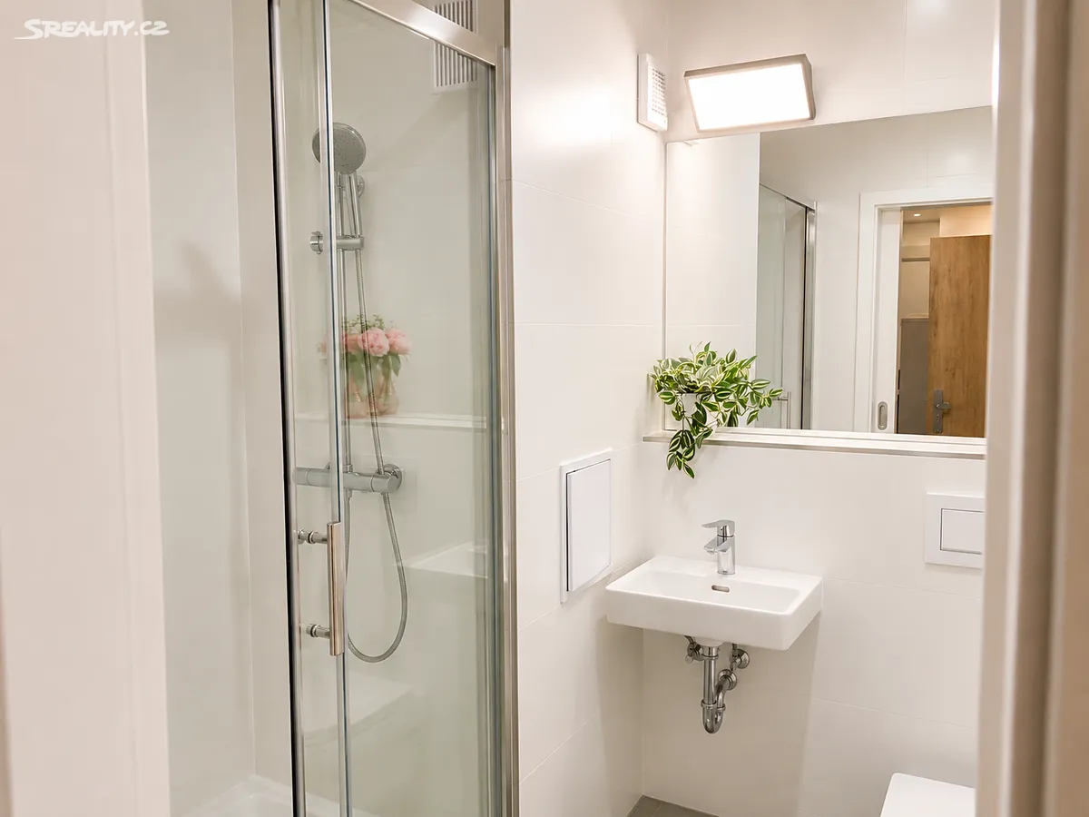 Pronájem bytu 1+kk 30 m² – pohled 5
