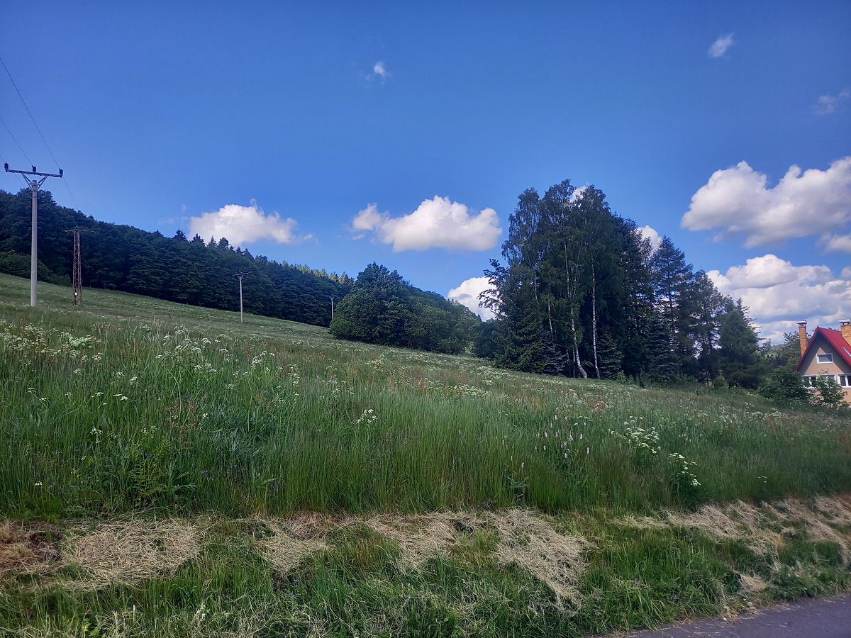 Prodej stavebního pozemku 1596 m²