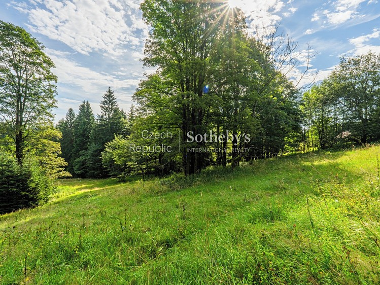 Prodej pozemku, 2 976 m² (11 z 20)