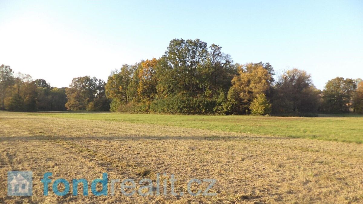Prodej pozemku 6981 m²