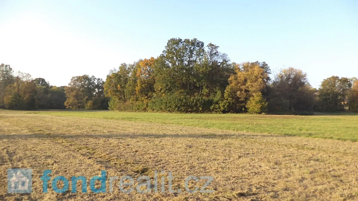 Prodej pozemku 6981 m²