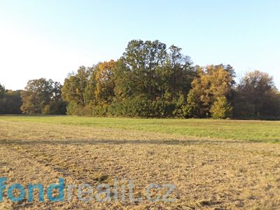 Prodej pozemku 6981 m²