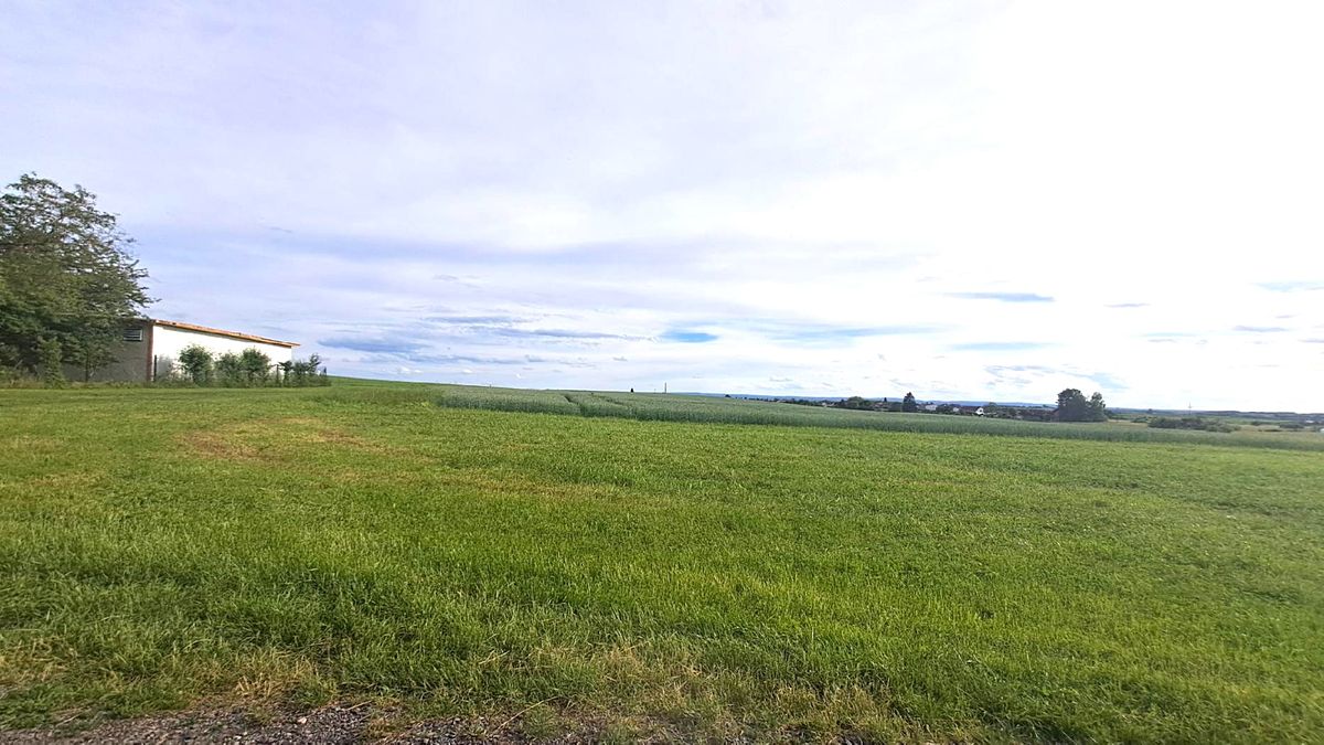 Prodej pole 2325 m² – fotografie 2