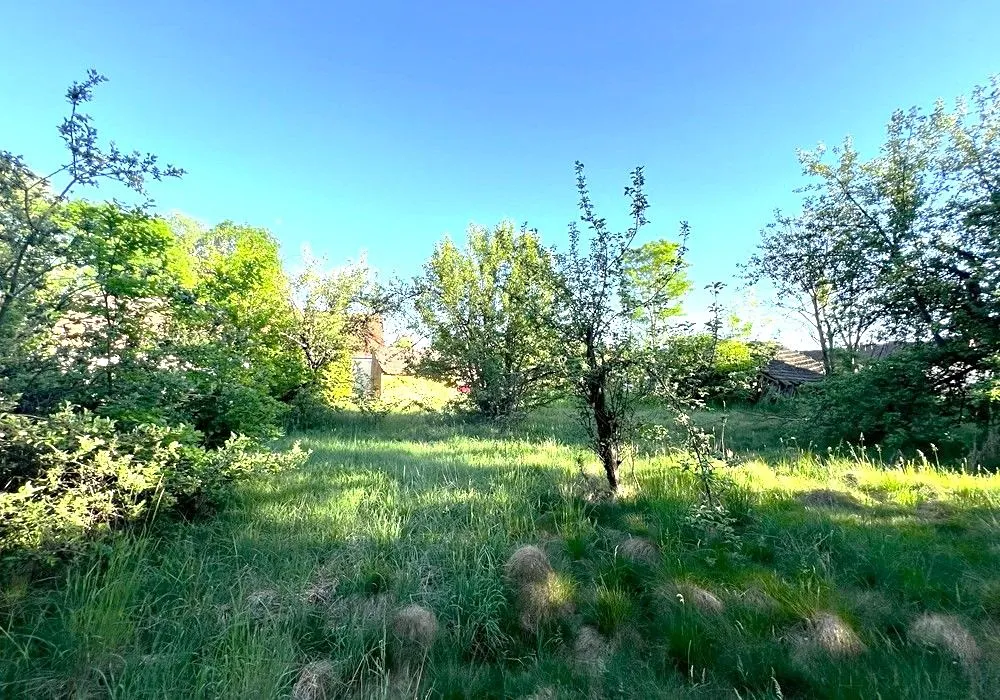 Fotka 17 z 29