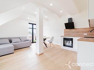 Prodej bytu 1+kk 45 m²