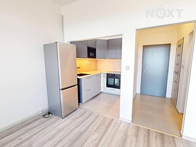 Pronájem bytu 3+1 64 m²