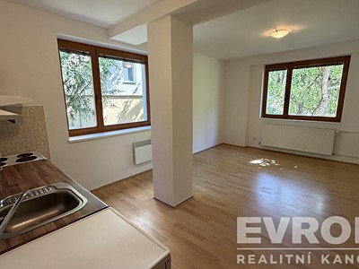 Pronájem bytu 1+kk 30 m²